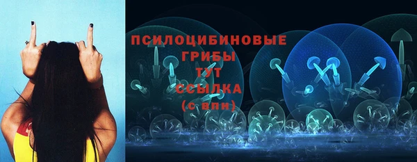 первитин Лагань