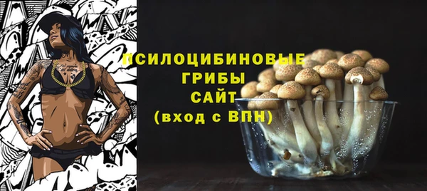 первитин Лагань